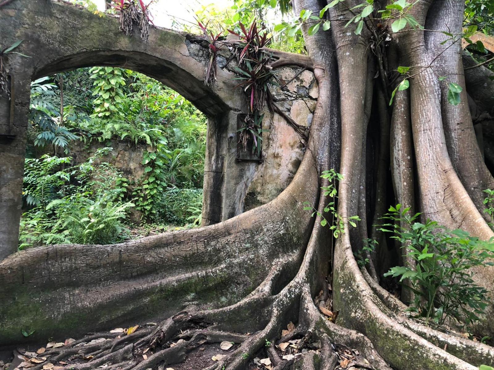 Balenbouche Estate Villa Laborie Bagian luar foto