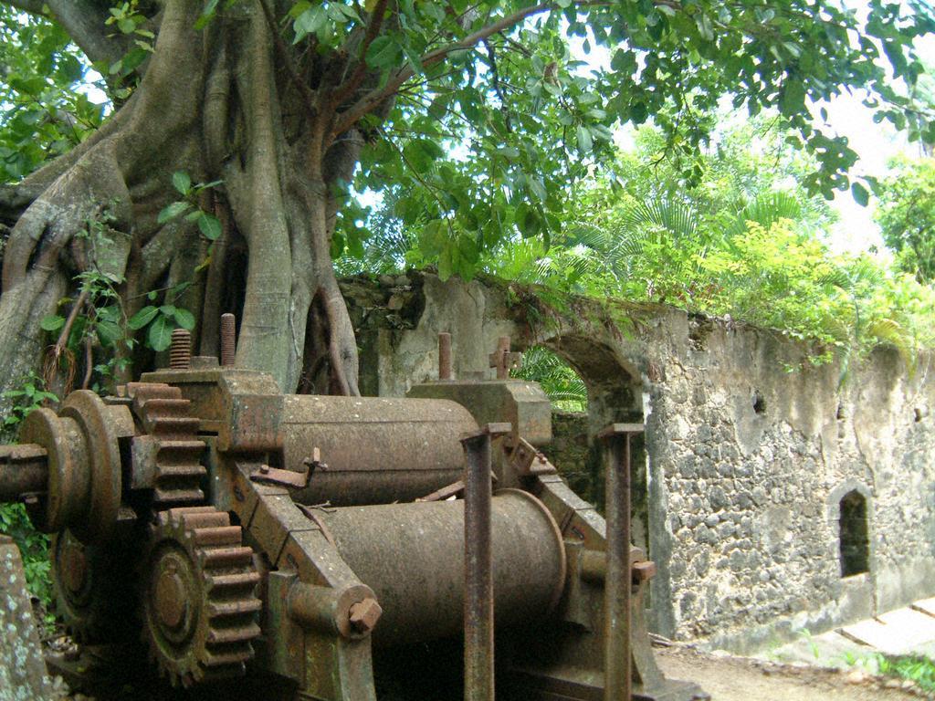 Balenbouche Estate Villa Laborie Bagian luar foto