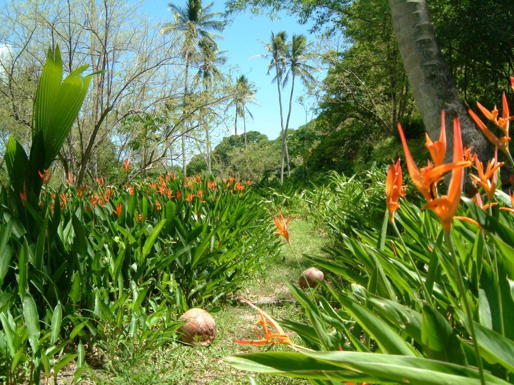 Balenbouche Estate Villa Laborie Bagian luar foto