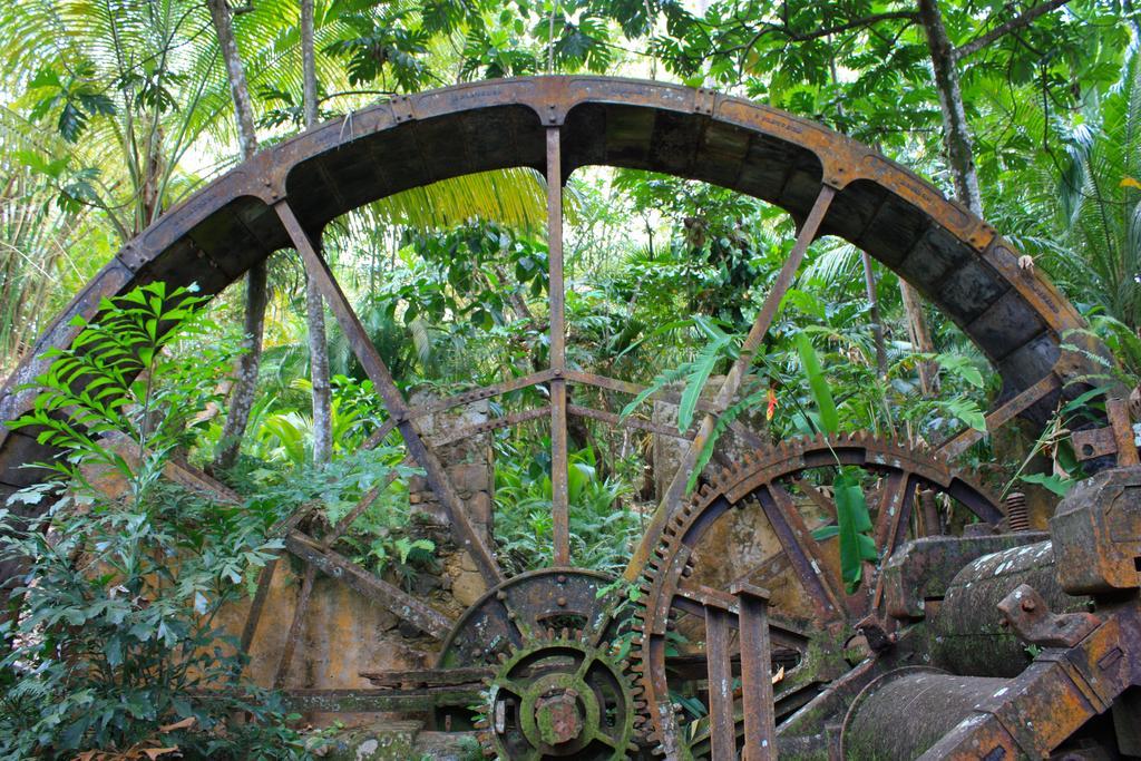 Balenbouche Estate Villa Laborie Bagian luar foto